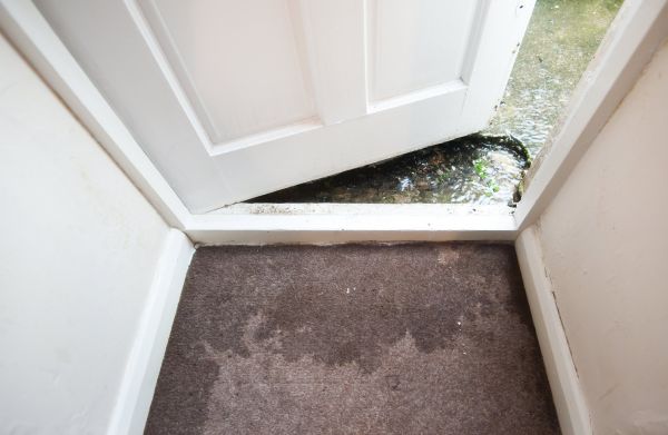Cost of Wet Carpet Restoration in Mission Viejo