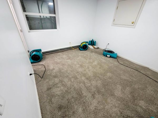 Flood Restoration Service in Mission Viejo