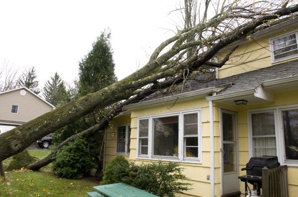 Hurricane Damage Repair in Mission Viejo