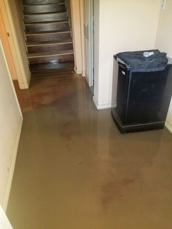 Flooded Basements